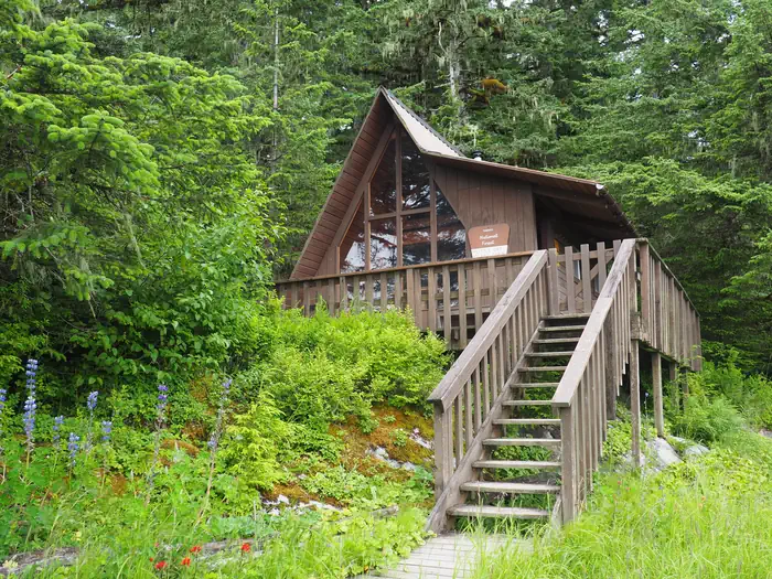 Brown cabin with steps extending down to grass with blue and orange flowers with trees behind cabin