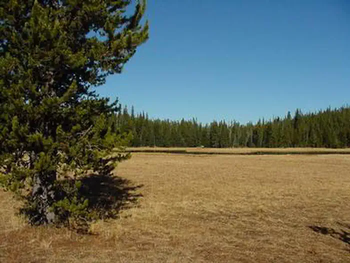 MUD LAKE CAMPGROUND