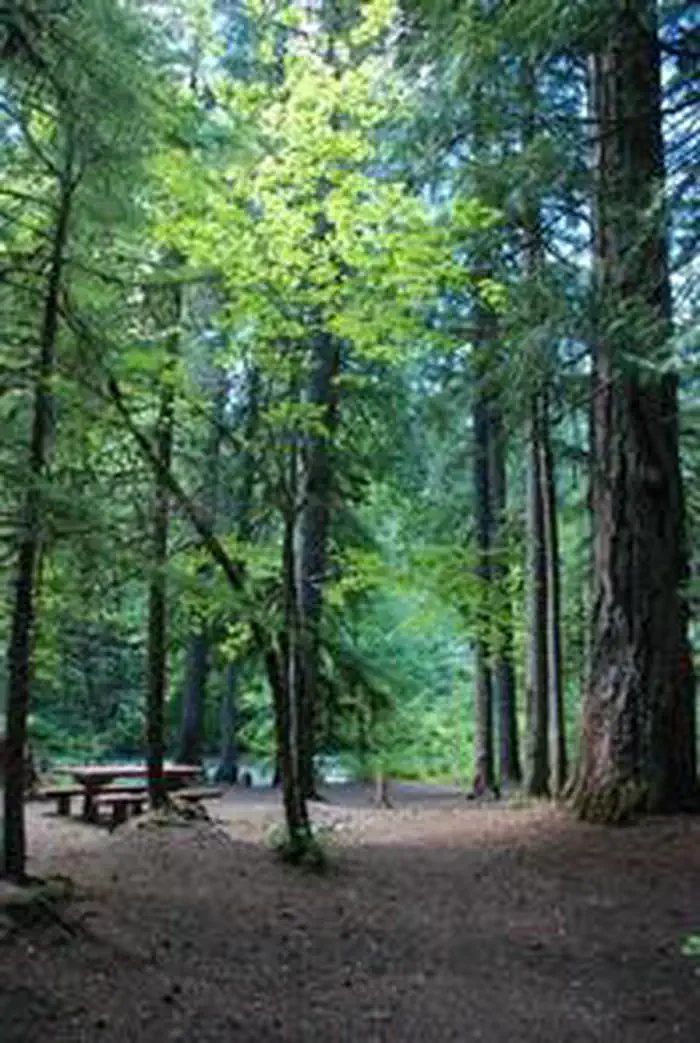 RIVERSIDE AT DETROIT (Willamette National Forest, OR)