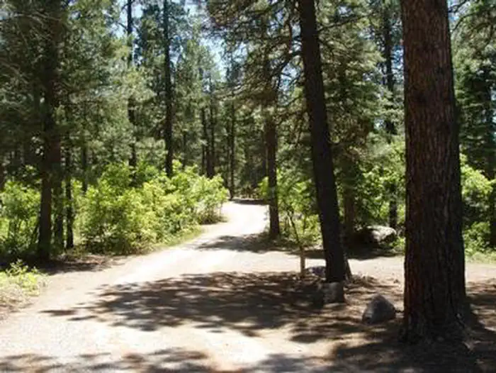 EAST FORK CAMPGROUND
