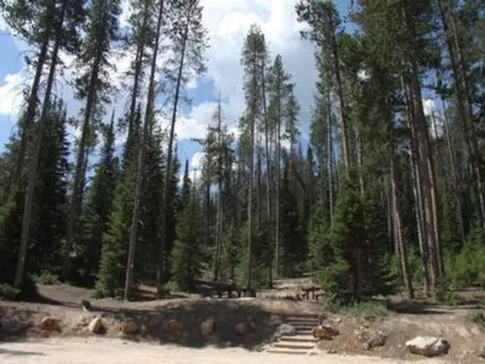 NORTH FORK CAMPGROUND - St. CHARLES CANYON