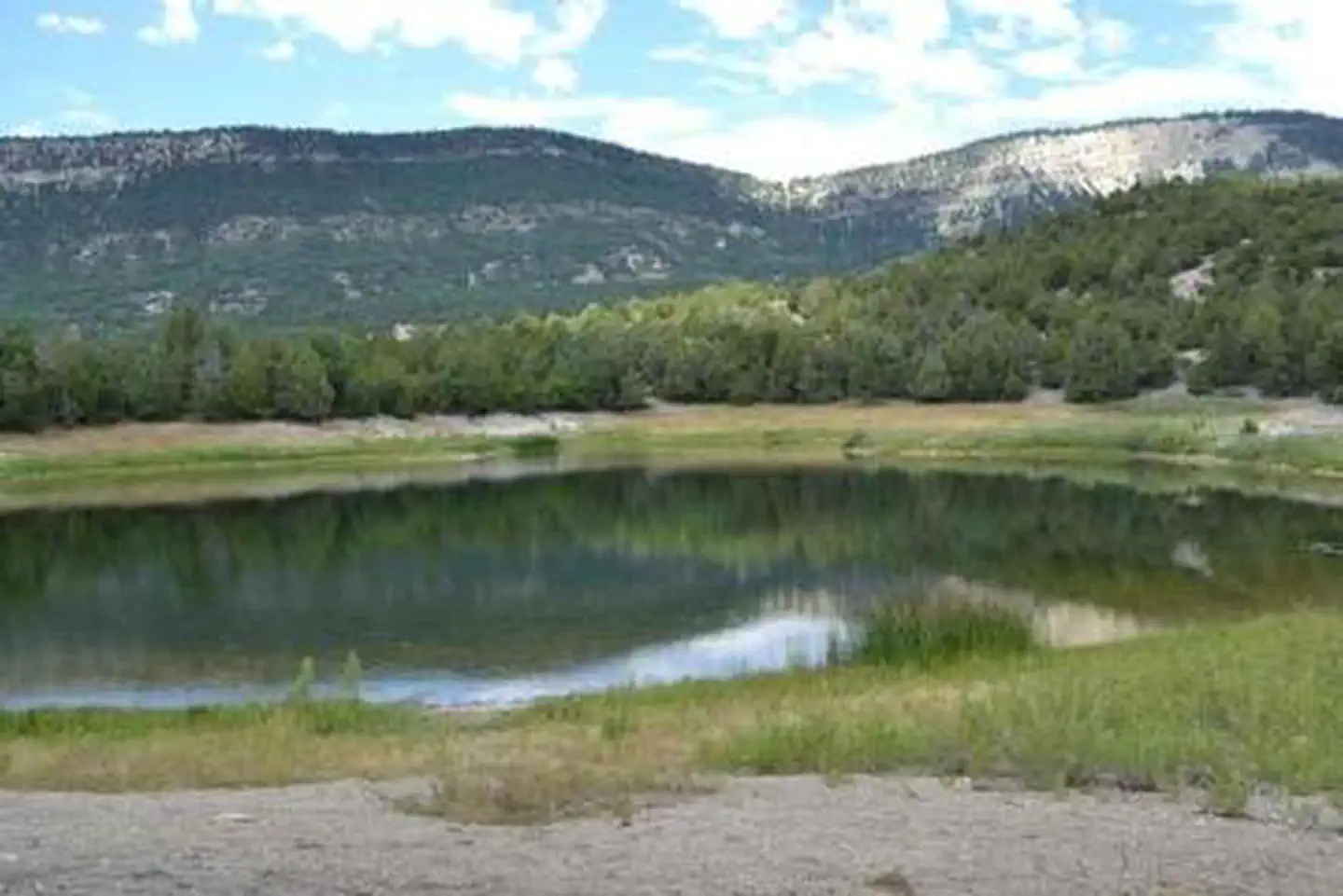 TWIN LAKE
