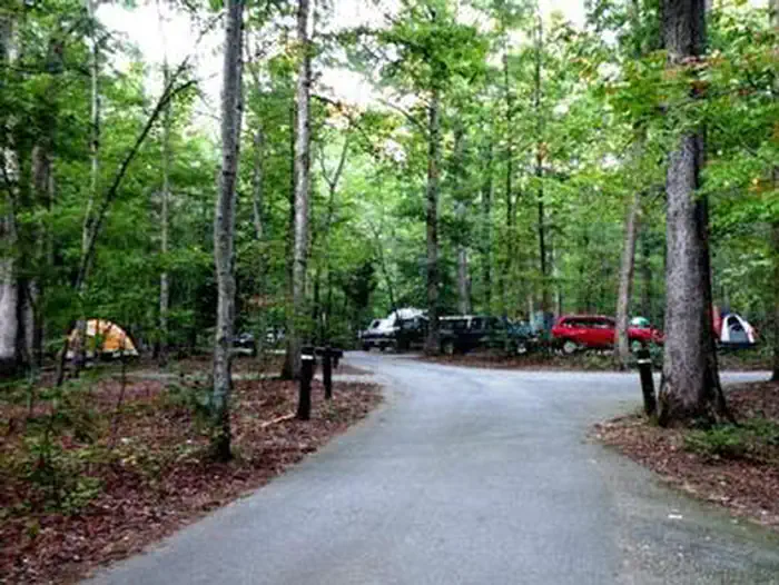 Cars and tents at a campsite near a paved roadway