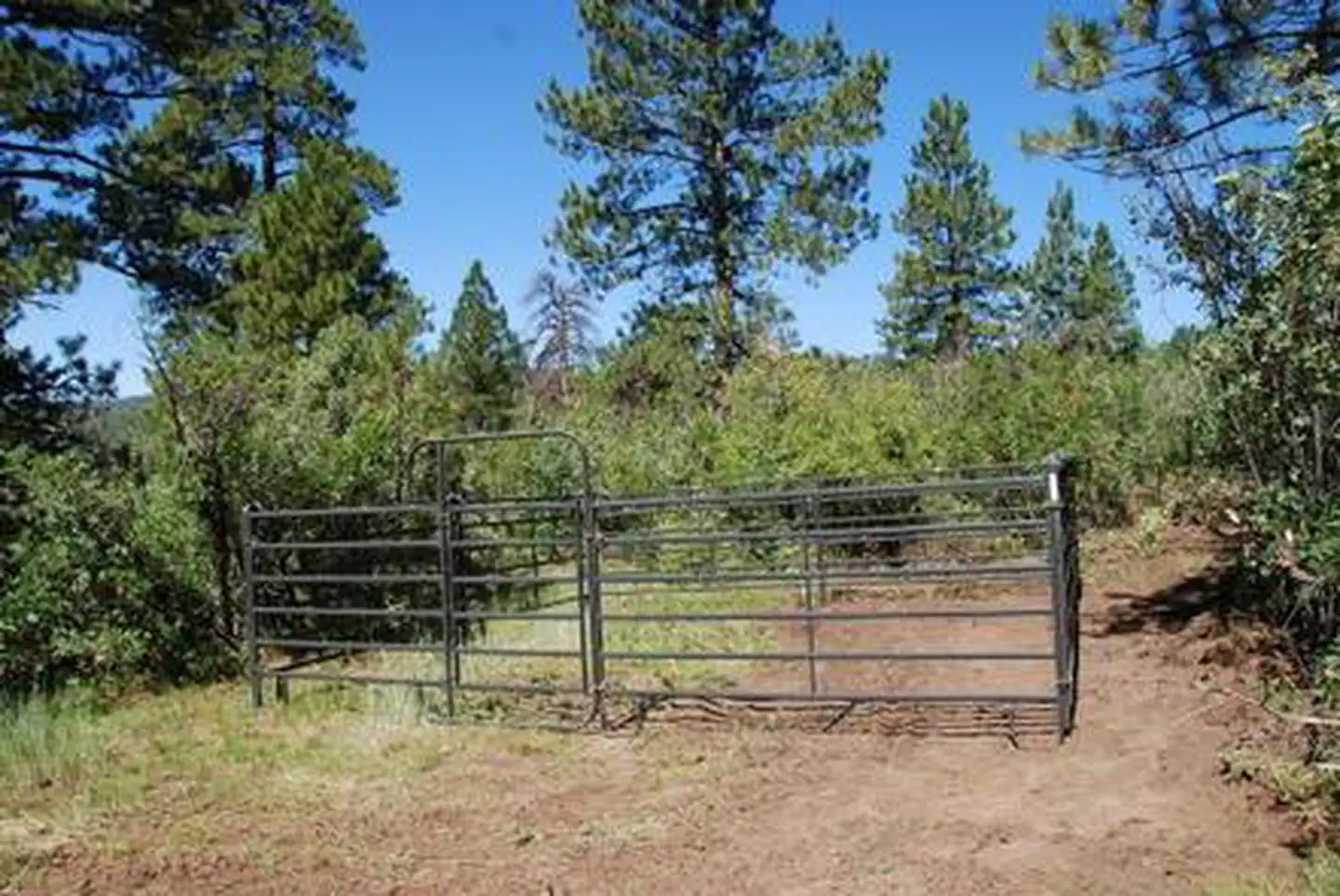 TARGET TREE CAMPGROUND