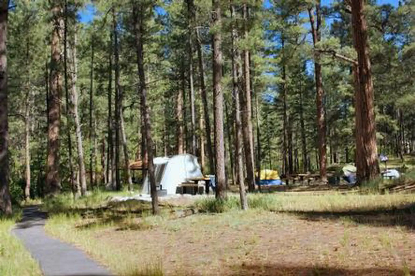 SAN ANTONIO CAMPGROUND