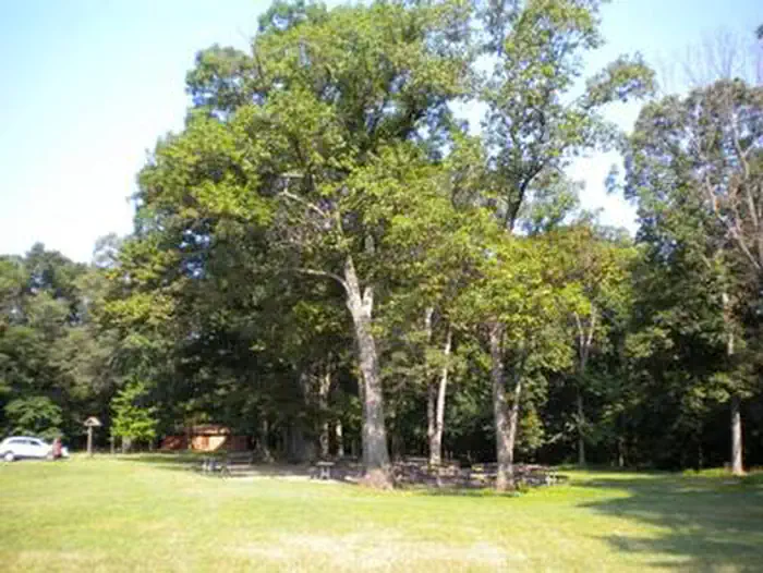 Picnic Area A, showing tables in the trees and restroom in the background