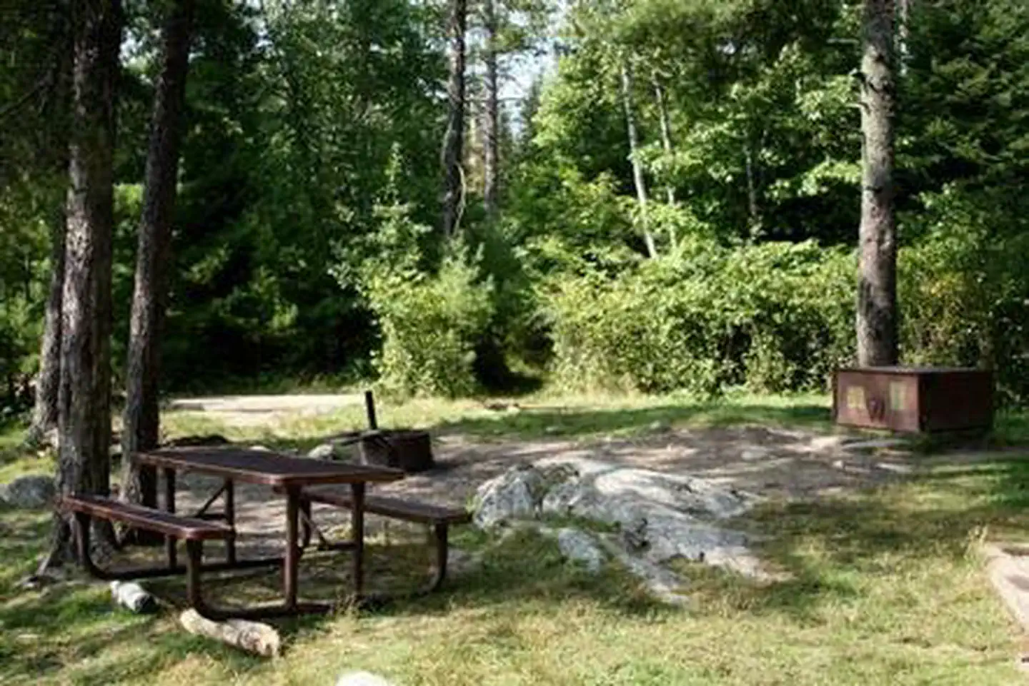 View of a grassy campsite surrounded by trees with a picnic table, fire ring, and bear-proof metal food locker.
