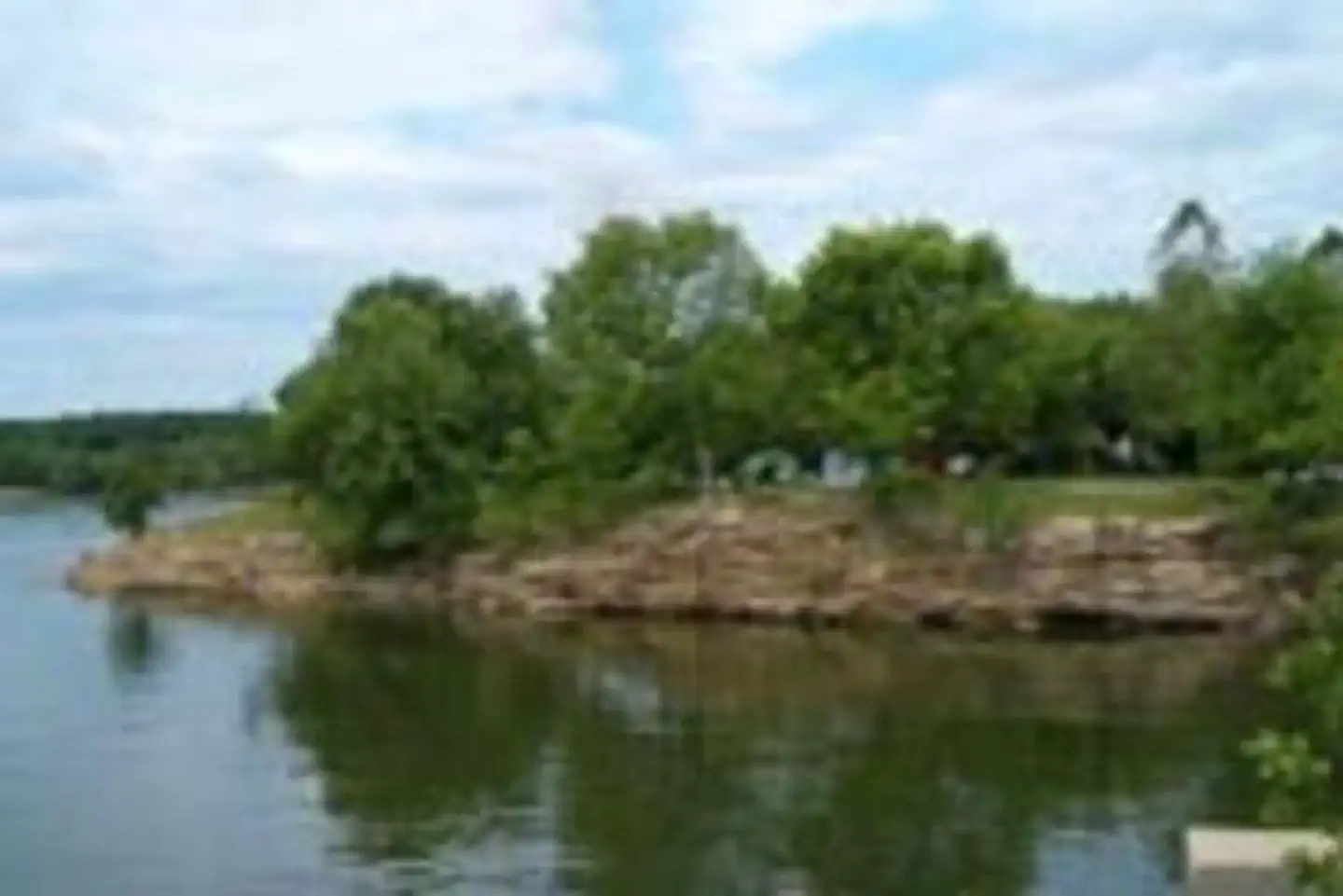 LAUREL BRANCH