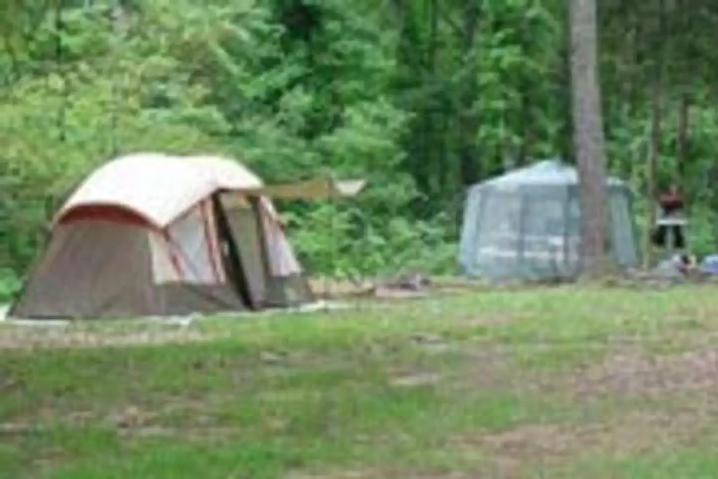 Dub Patton Recreation Area