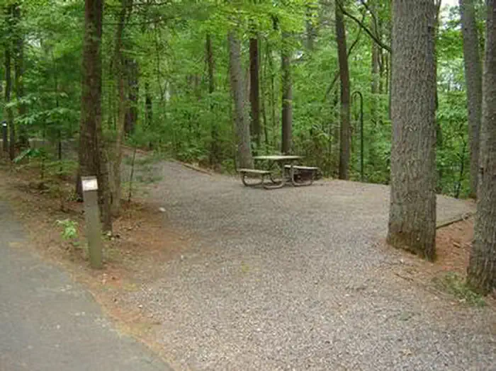 Campsite with picnic table and lantern post.