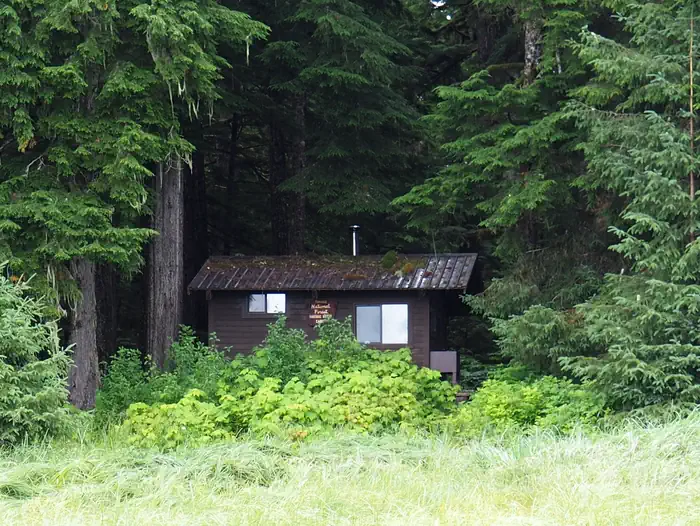 Harding River Cabin brown cabin surrounded by trees and greenery