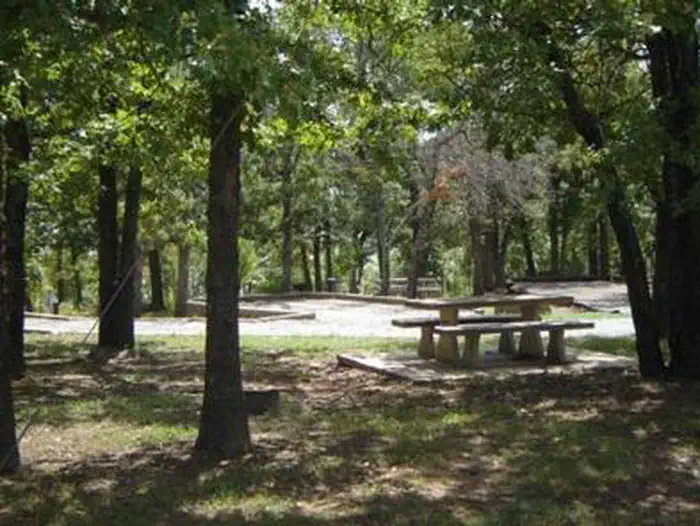 SHEPPARD POINT campsite