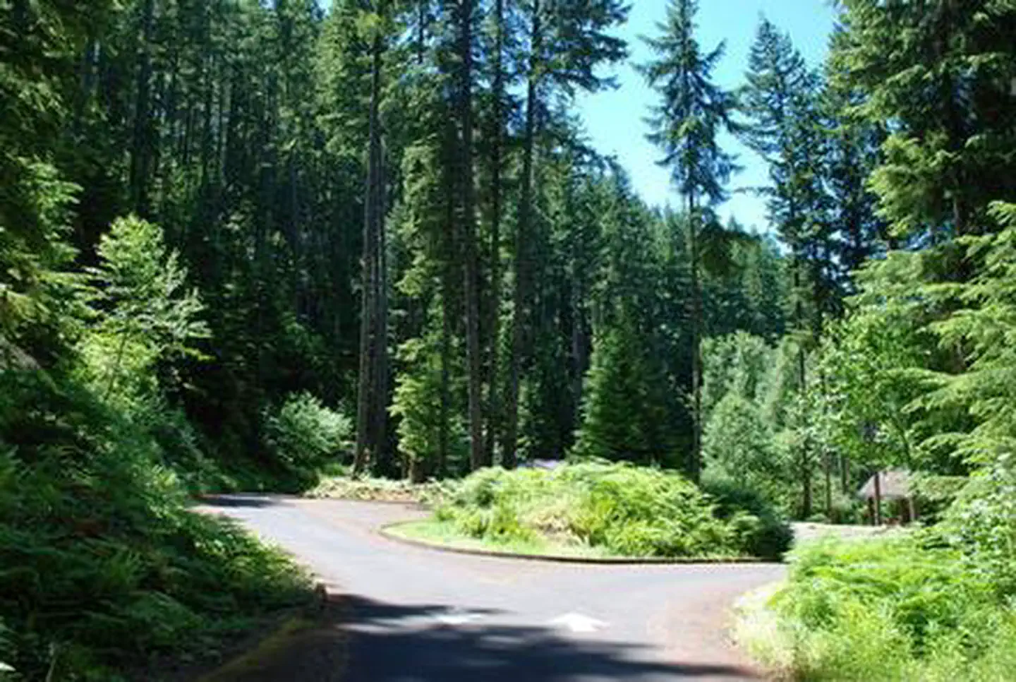 Cove Creek (OR)