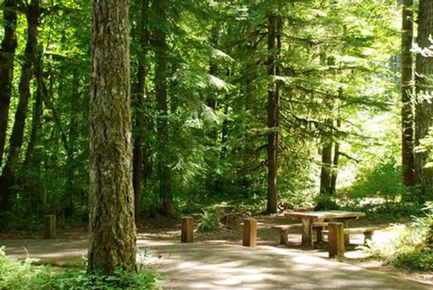 HOOVER CAMPGROUND