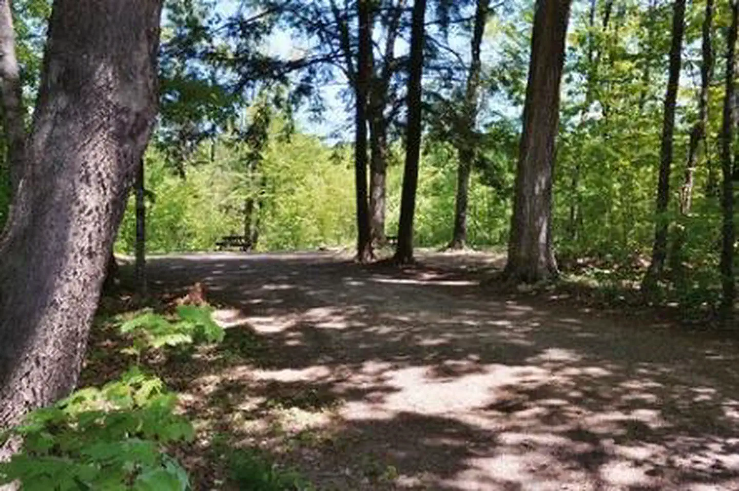 another campsite