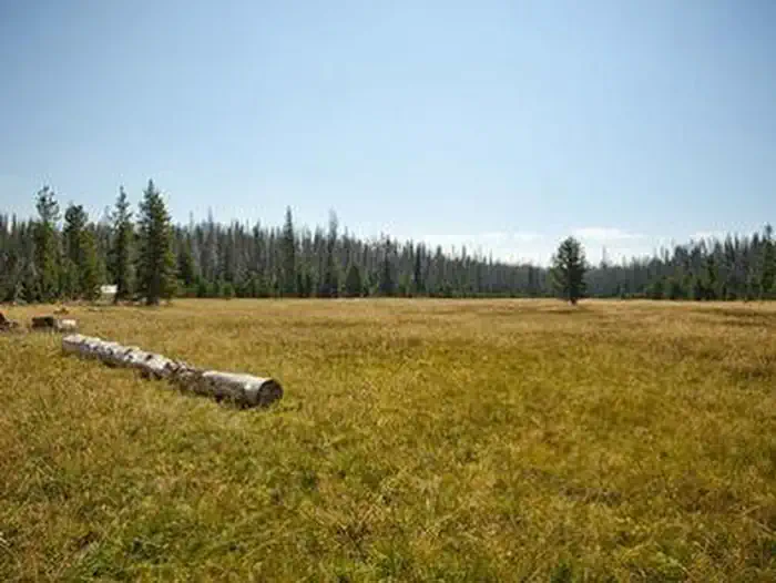 QUINN MEADOW HORSE CAMP