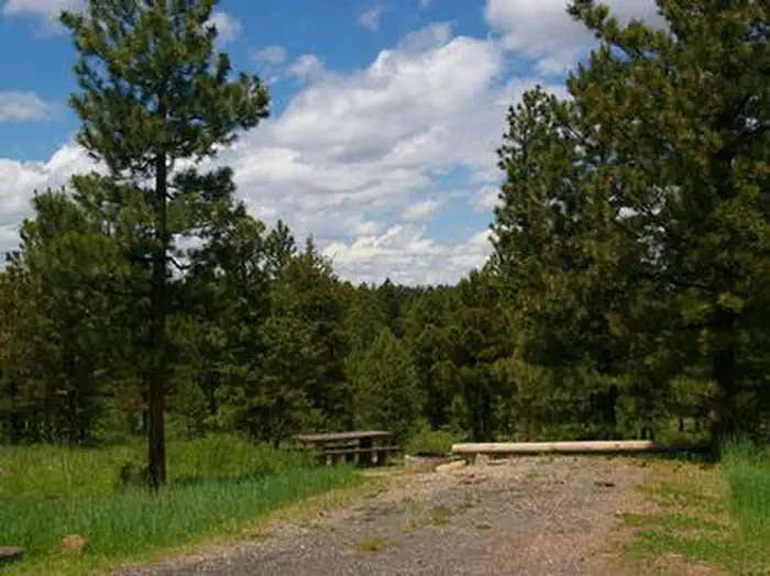 SKULL CREEK