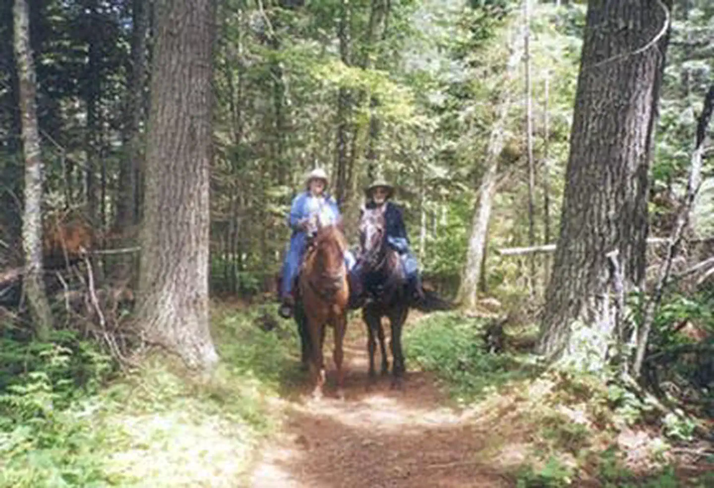 CUT FOOT HORSE CAMPGROUND