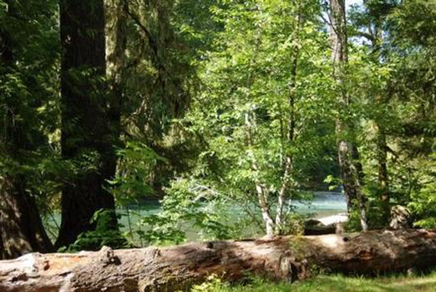 La Wis Wis Campground