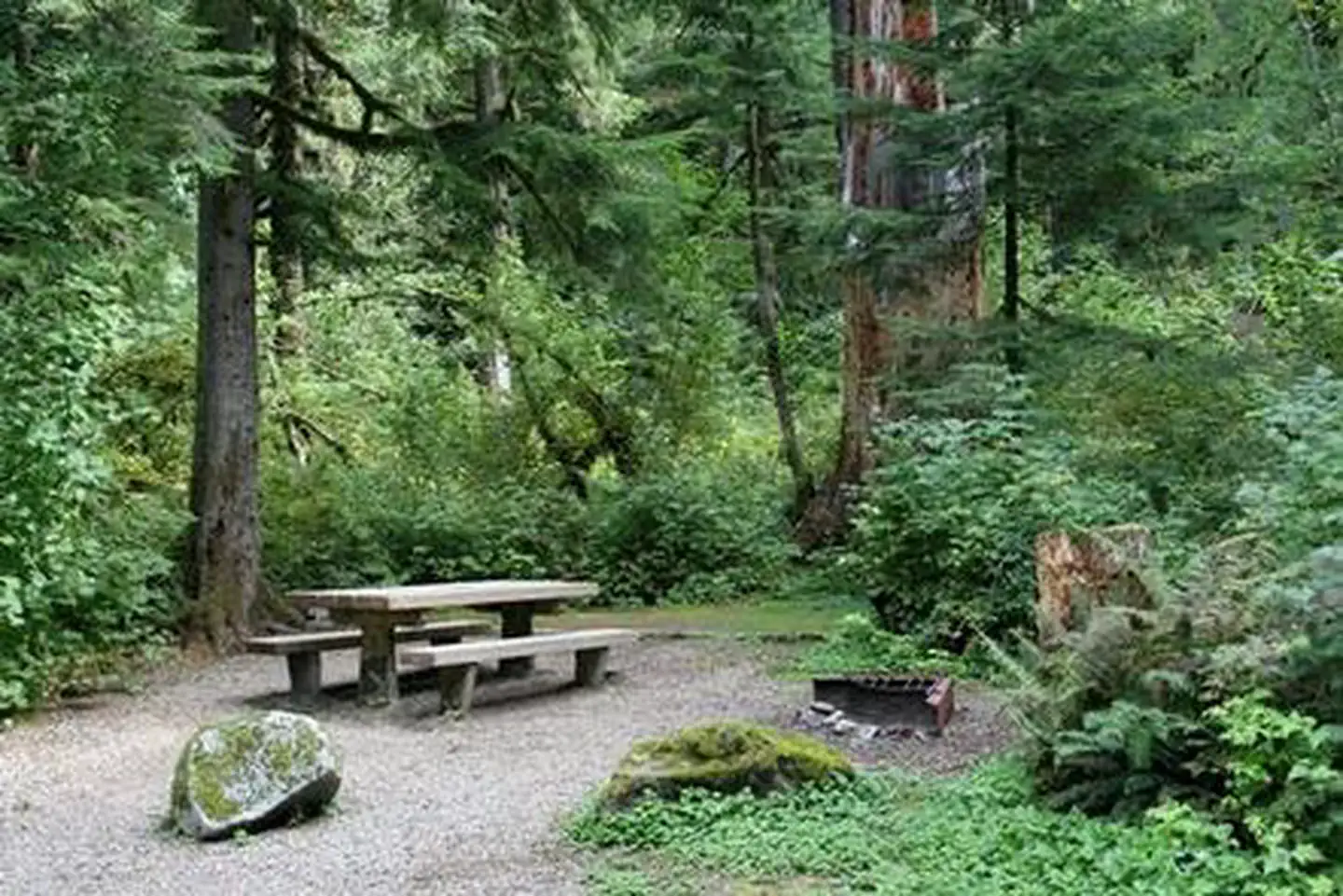 Bedal Campground