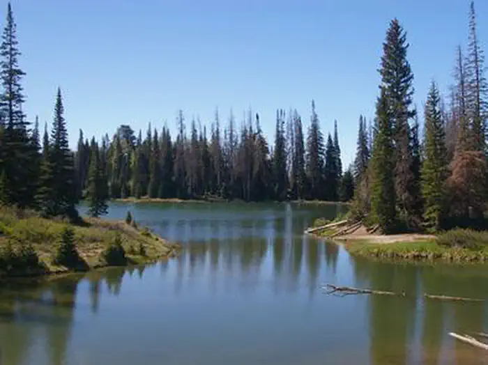 Potters    Pond