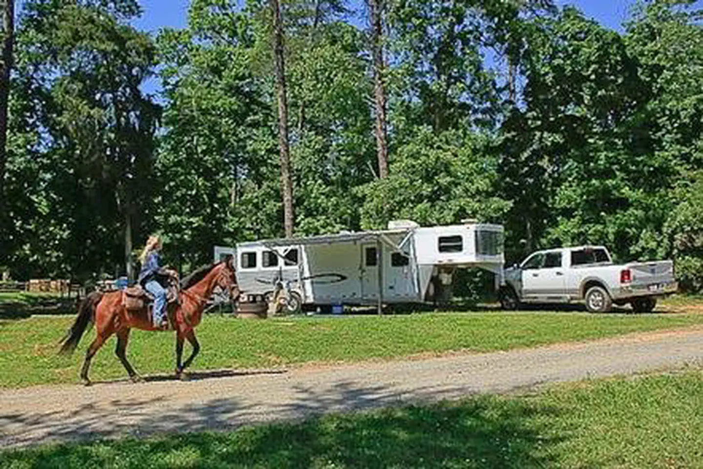 Rider at Canebrake Horse Camp