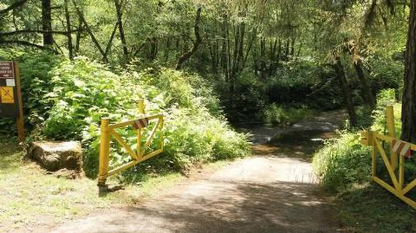 CANAL CREEK