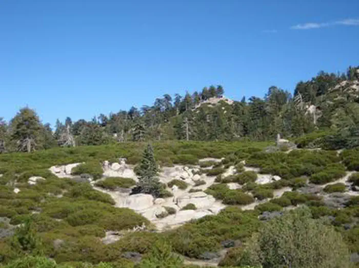 View from Shady Cove Group Campground.