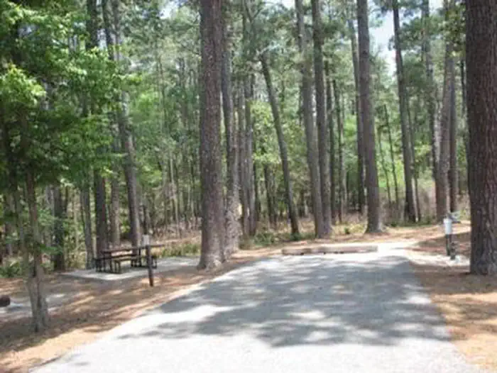 CAGLE RECREATION AREA