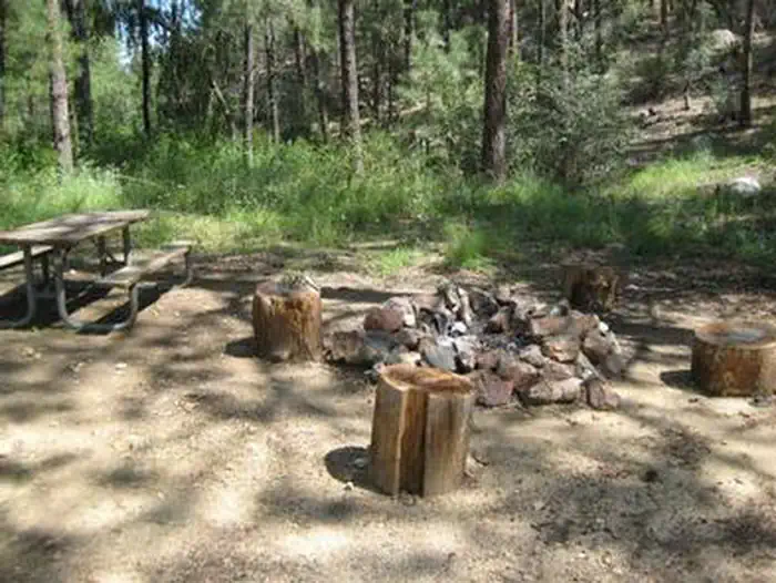 Wood chopping area with stack of chopped wood to the left of wood and metal picnic table