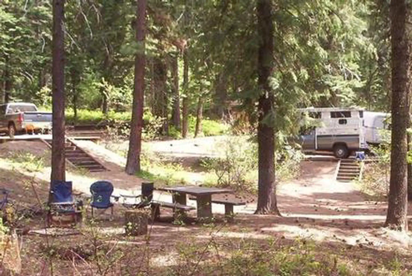 Campsites in Spring Creek Campground surrounded by Ponderosa Pine trees.