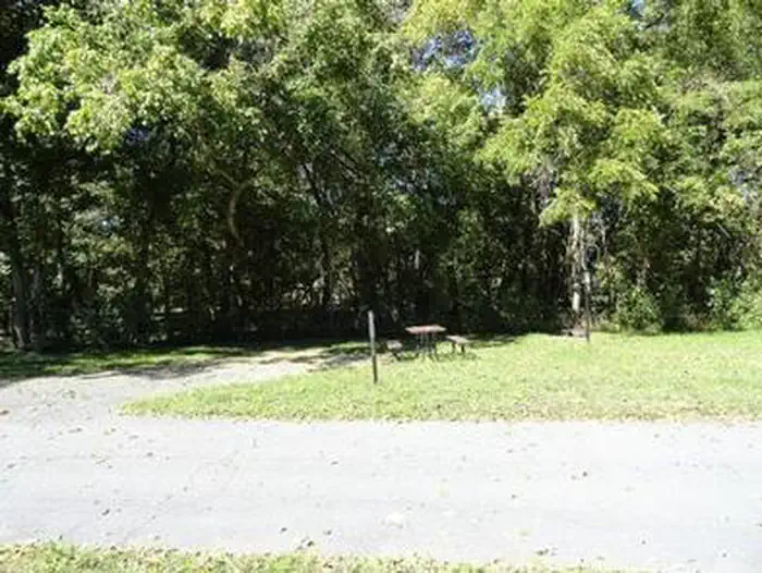 A campsite at Alley Spring with picnic table and shade trees