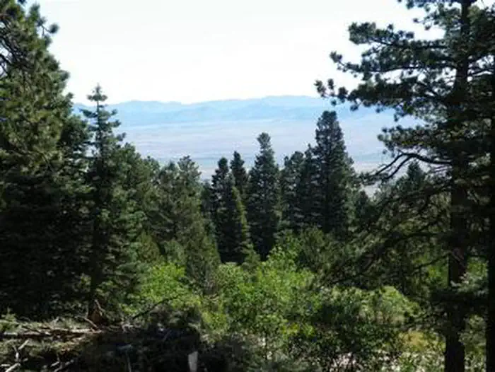 ALVARADO CAMPGROUND