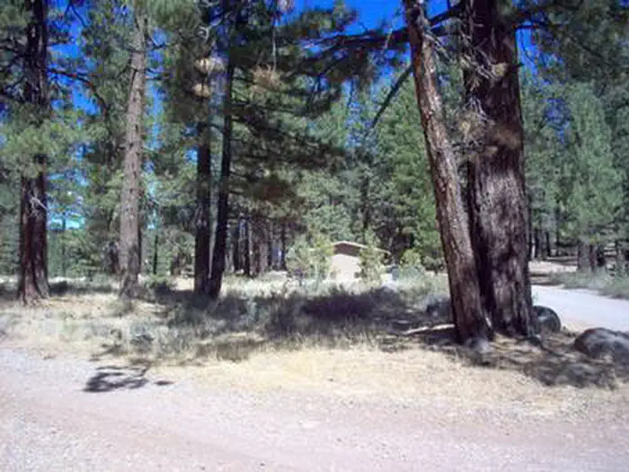 BOCA SPRING