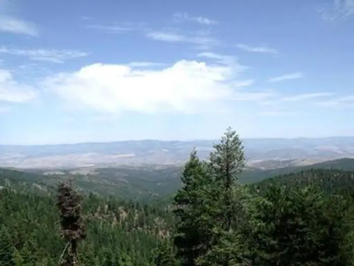 FALL MOUNTAIN LOOKOUT CABIN