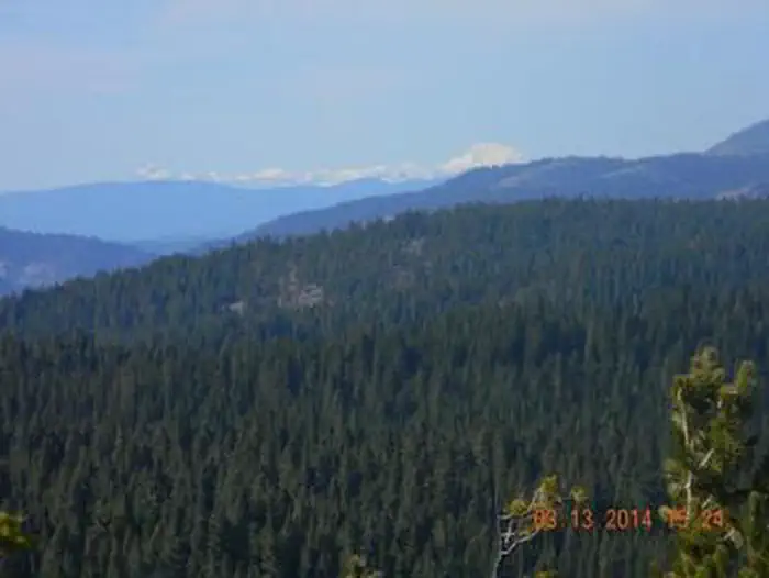 CALPINE LOOKOUT