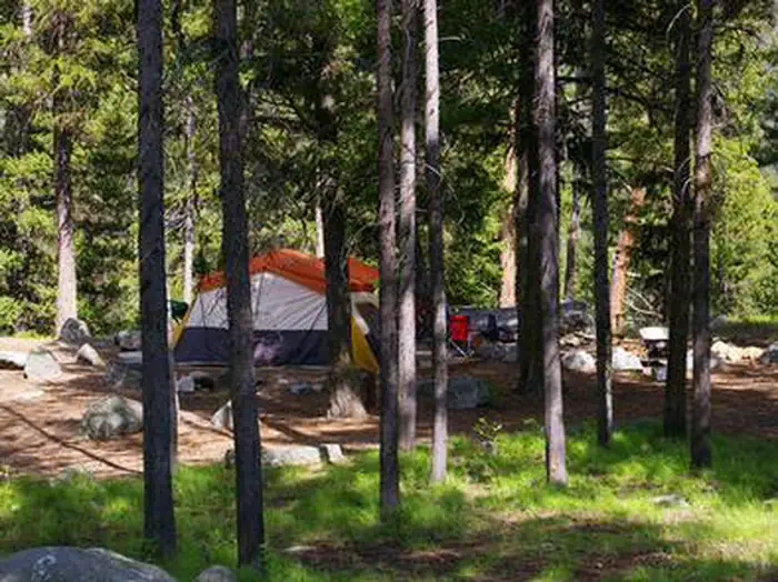 PICNIC POINT (ID)