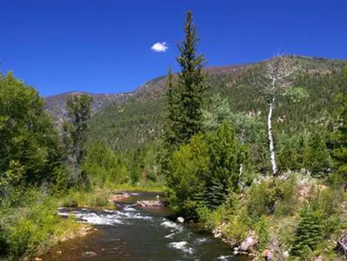 MINERS GULCH
