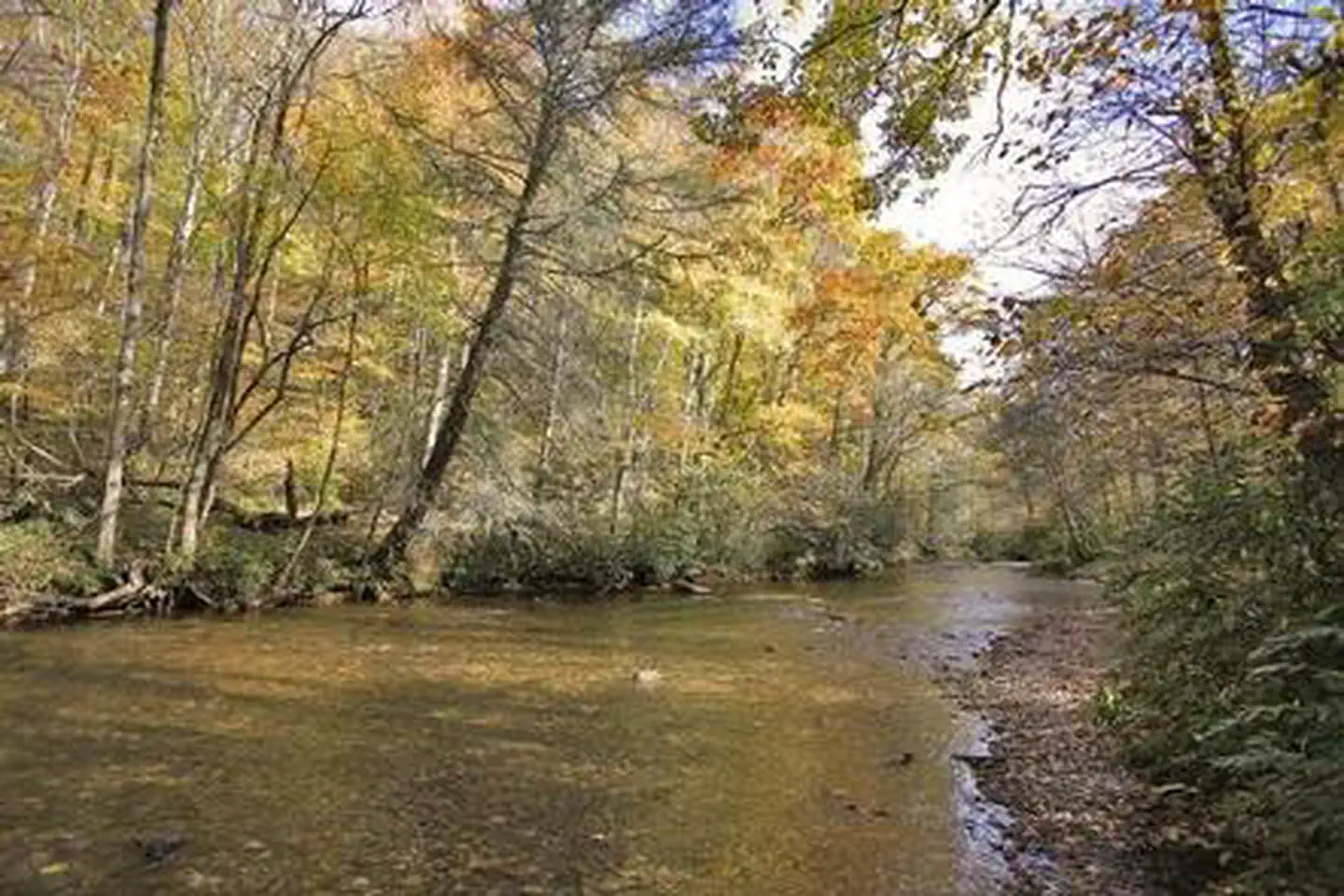 River at campground