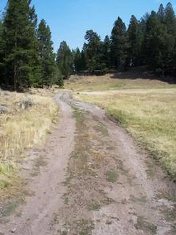 LORISTICA GROUP CAMPGROUND