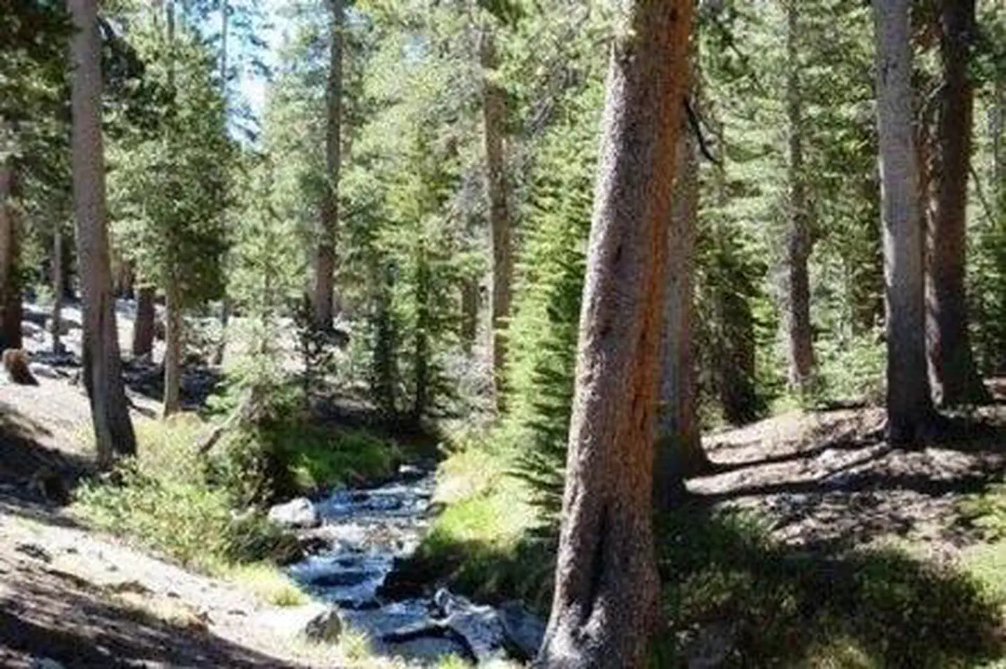 COLDWATER CAMPGROUND