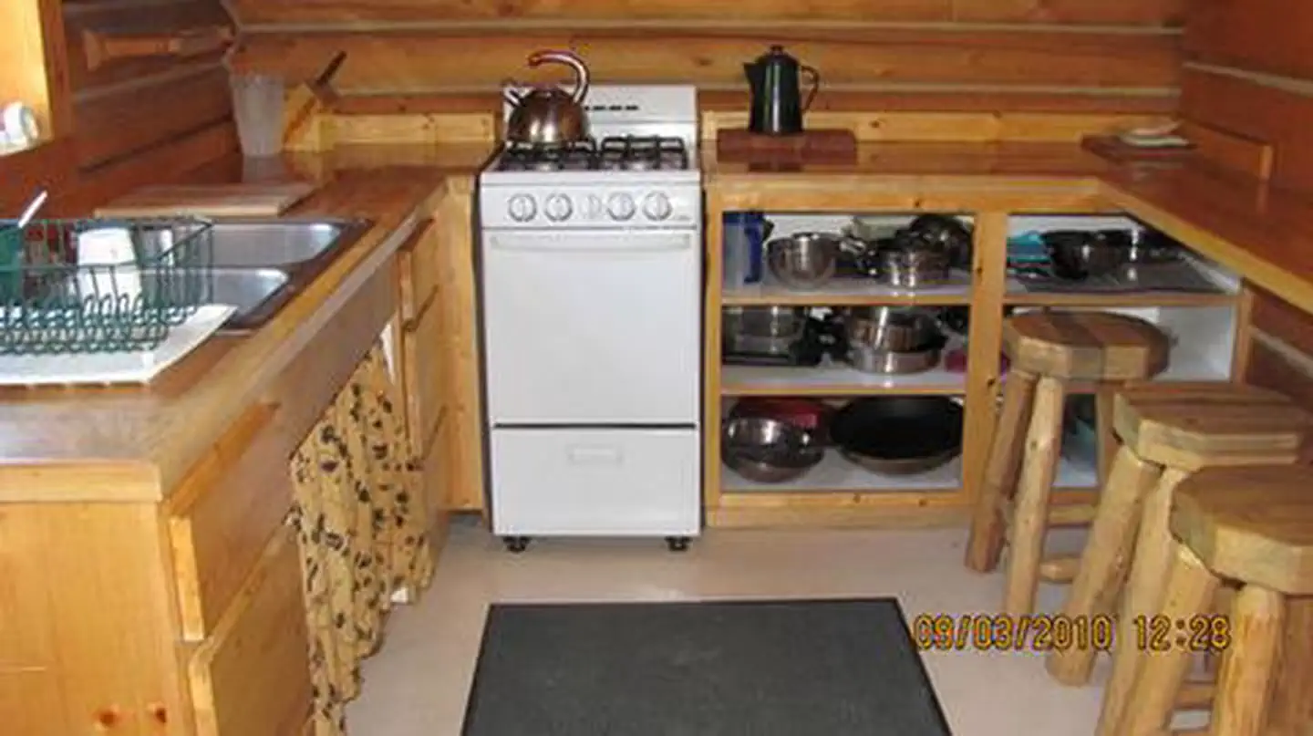 GORDON REESE CABIN kitchen