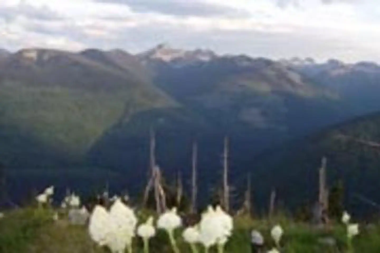 SHORTY PEAK LOOKOUT