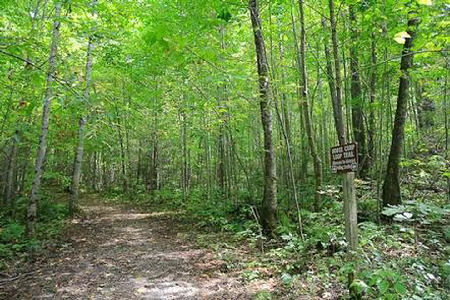 HARMON DEN HORSE CAMPGROUND