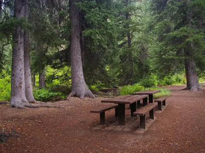 COTTONWOOD GROUP CAMPSITE