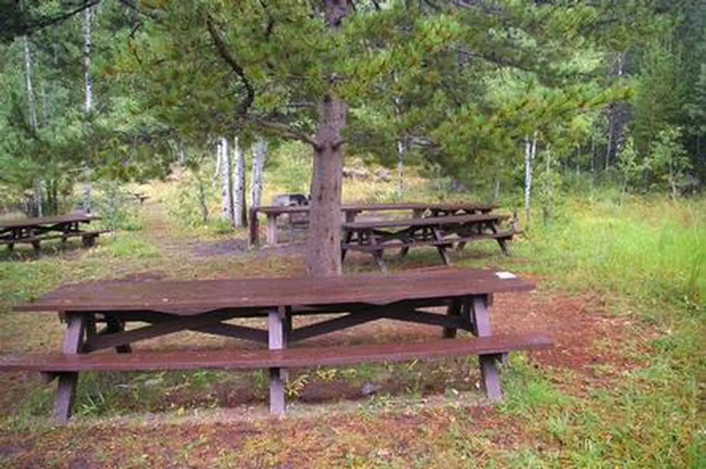 ALLRED FLATS GROUP PICNIC SITE5