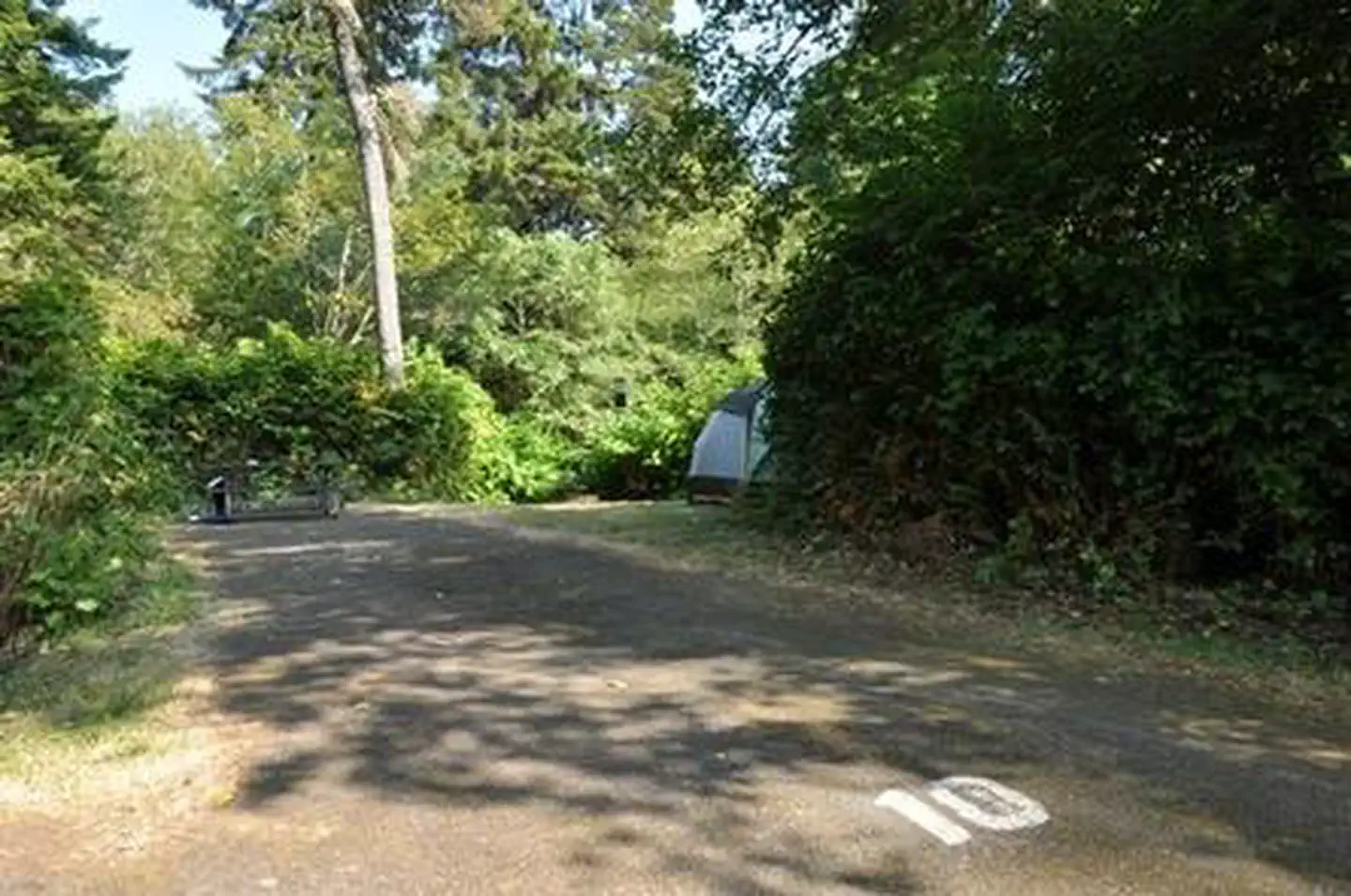 ALDER DUNE