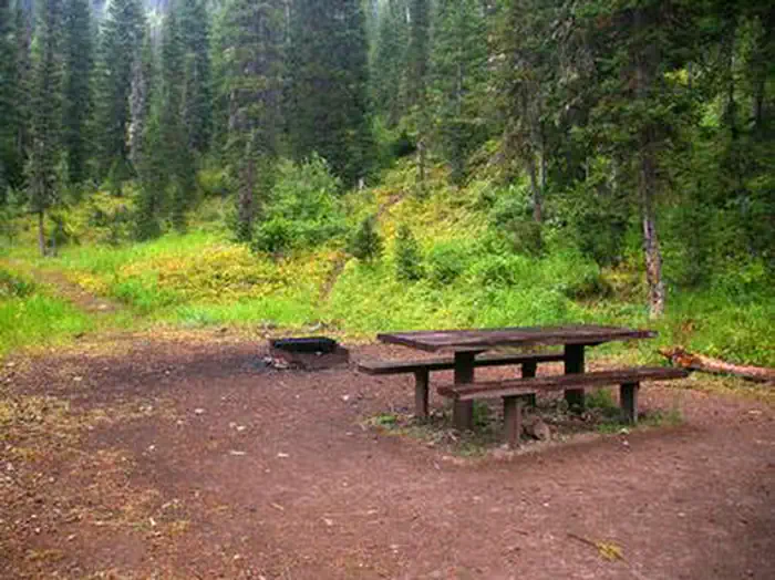 COTTONWOOD GROUP PICNIC SITE