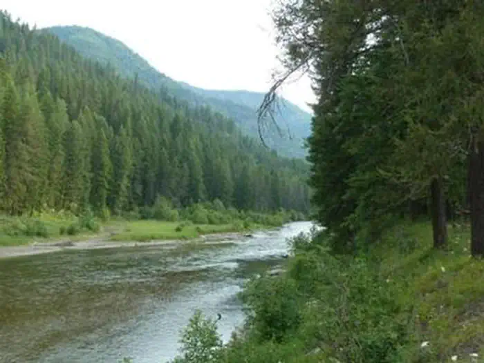 BULL RIVER