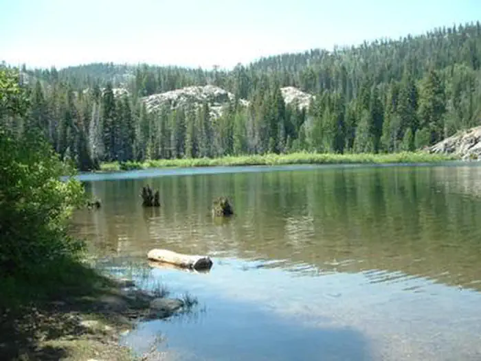 Packer Lake